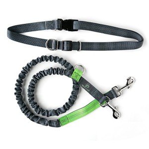 Mighty-Paw-Hands-Free-Dog-Leash-with-Extra-Length-Premium-Running-Dog-Leash-Lightweight-Reflective-Bungee-Dog-Leash-0